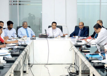 Govt. to develop Hingurakgoda as international civil airport